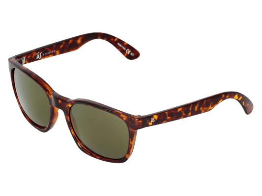 The Barys - Sunglasses in Gloss Tortoise Shell Grey Gold #gloss-tortoise-shell-grey-gold