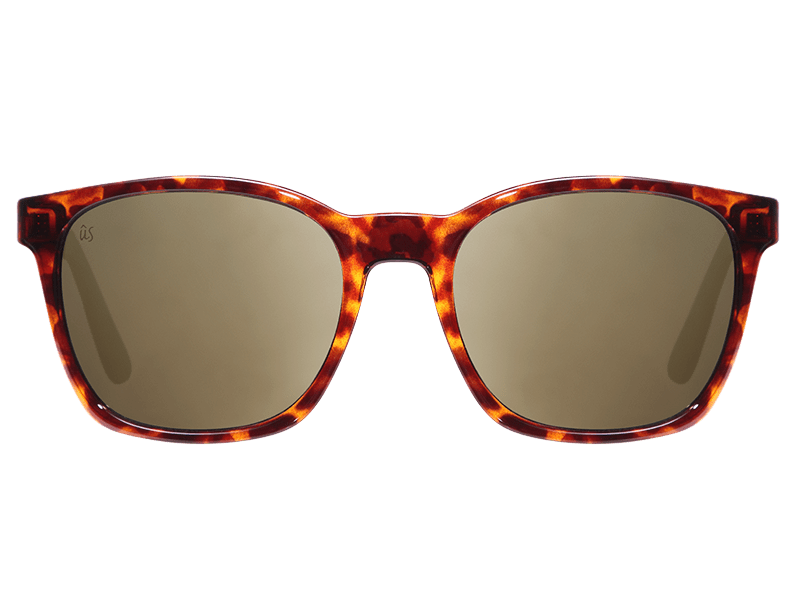 The Barys - Sunglasses in Gloss Tortoise Shell Grey Gold #gloss-tortoise-shell-grey-gold